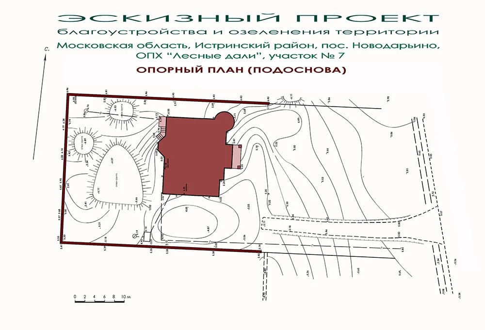 Ландшафтный дизайн участка - РЯБИНА обыкновенная