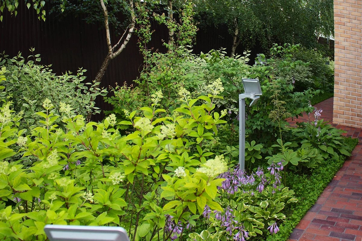 Дизайн сада на узком участке. Фото