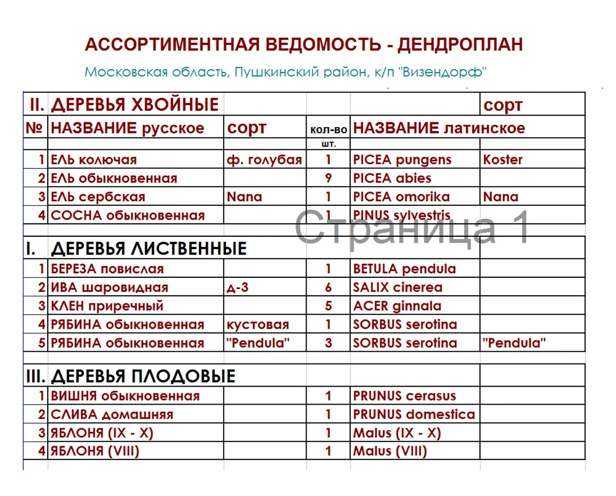Проект участка в коттеджном поселке «Визендорф»