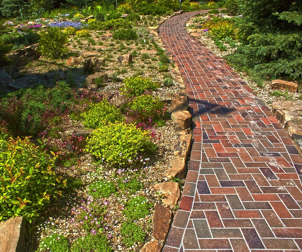 Альпийская горка - уход в течение сезона