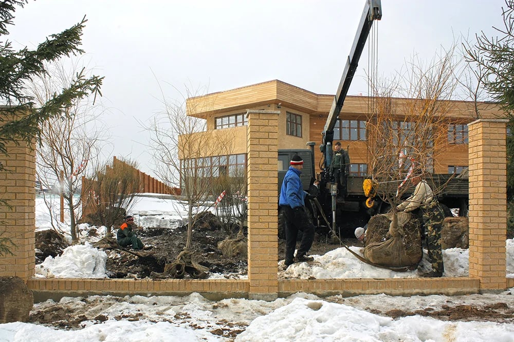 Посадка крупномеров в Антоновке